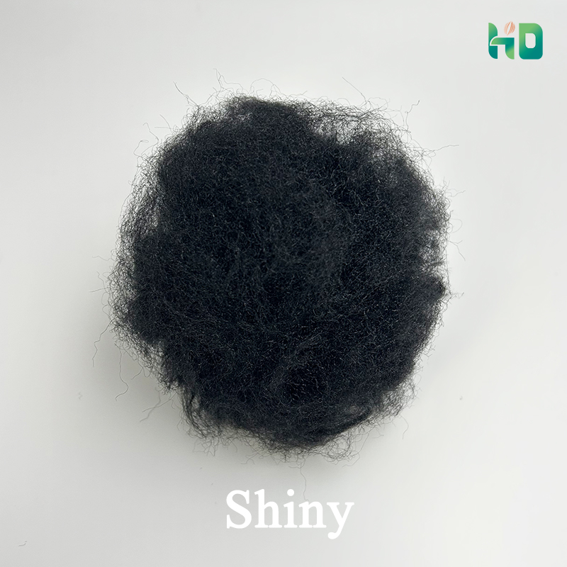 Shiny.jpg